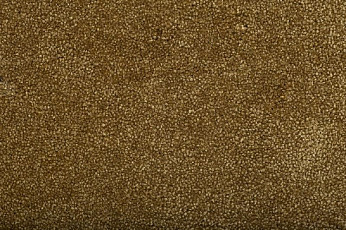 Ковролин Condor Bounty 50 фото 1 | FLOORDEALER